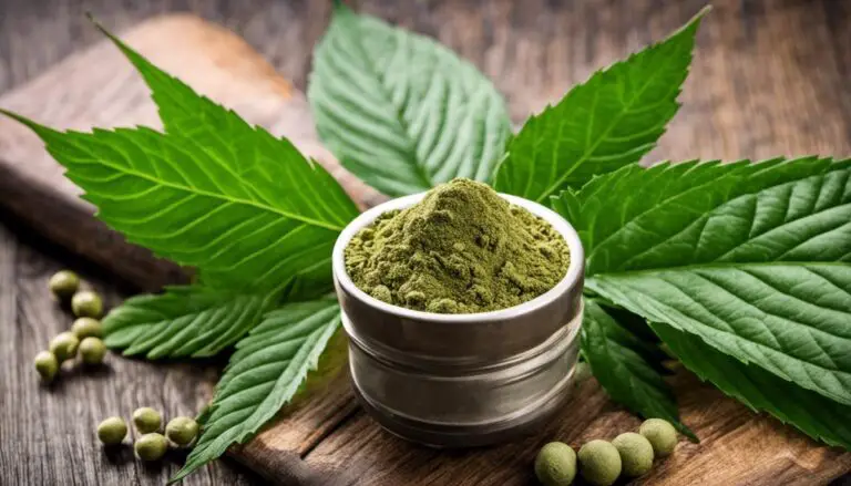 Can You Take Kratom on Probation? (Legal Risks and Gray Area)